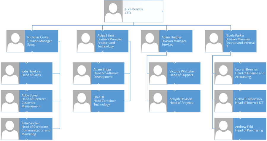 Organzation chart of the Example Company 2020